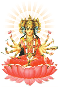 Gayathri-Devi2